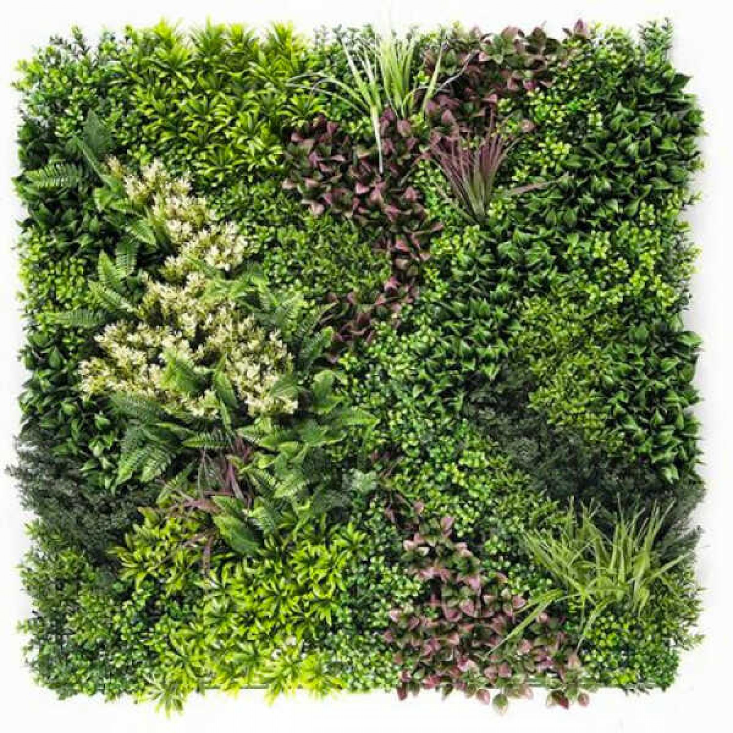 Vertical Garden Tile PERSIA 100x100cm A001 HERA
